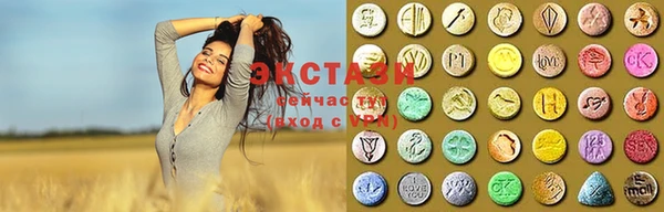гашик Осташков