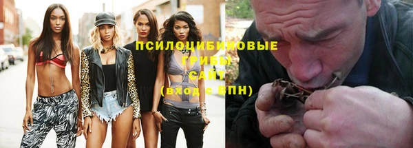 гашик Осташков